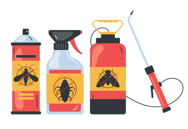 Best Spider Control Near Me  in Bethesda, MD