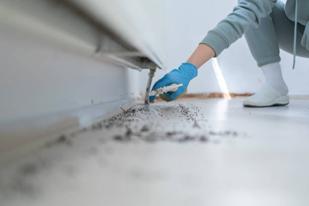 Trusted Bethesda, MD Pest Control Experts